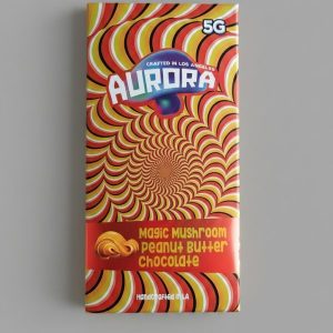 Aurora Mushroom Chocolate Bar